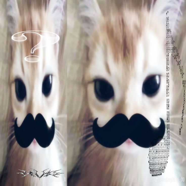 OxyContinCII