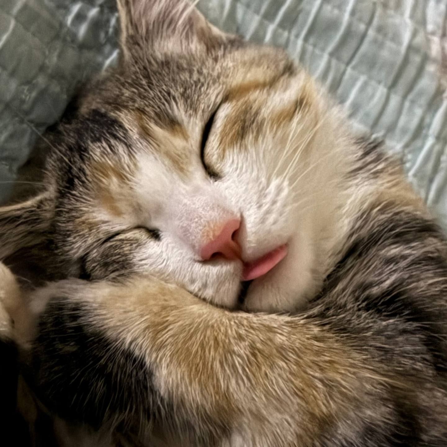 GWOTASH