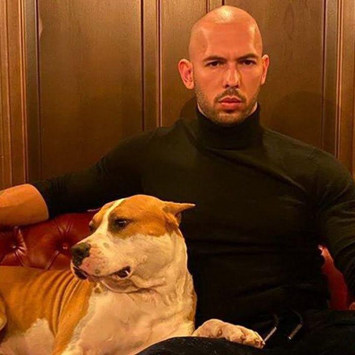 kosta