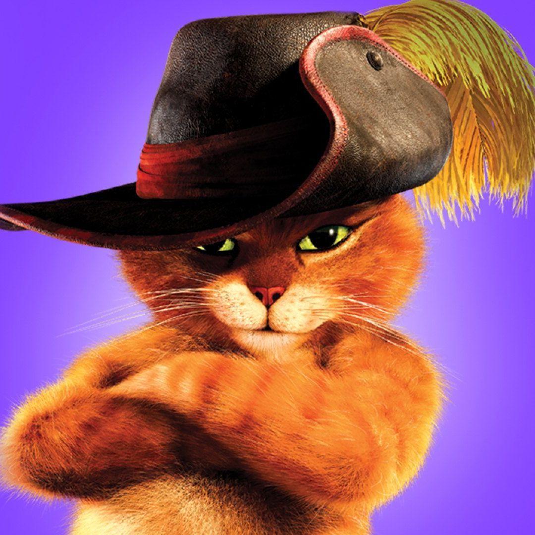 -Castr0 avatar