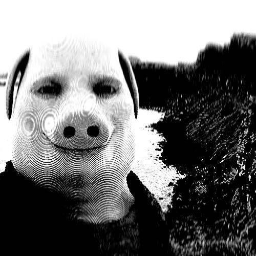 vvvcx avatar