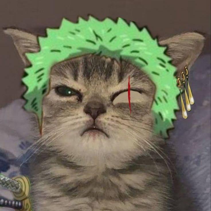 R4ljinX avatar