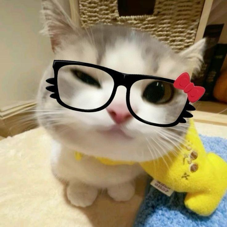 kvvm88 avatar