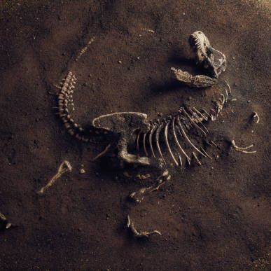 Extinct