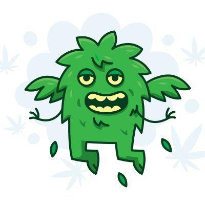 FedeFlodhest avatar