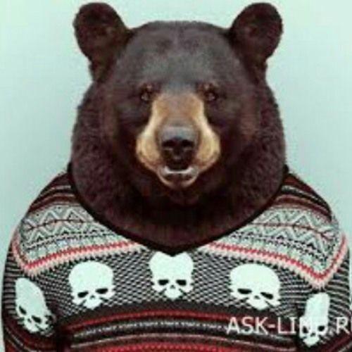 Player BearrrOk avatar