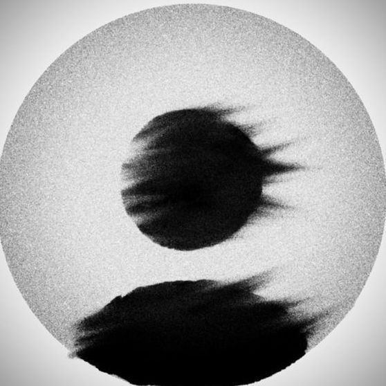 Nevereus