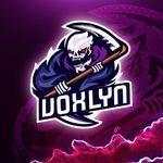 Voxlyn avatar