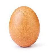 EGG_2346