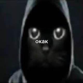 sl1cekk