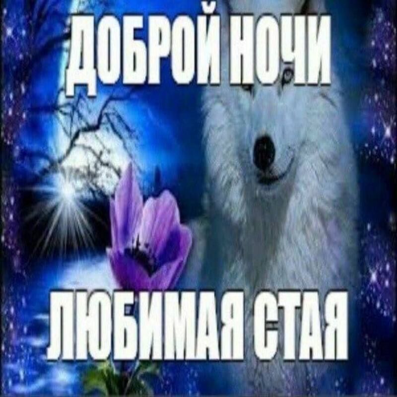 sw4ga666 avatar