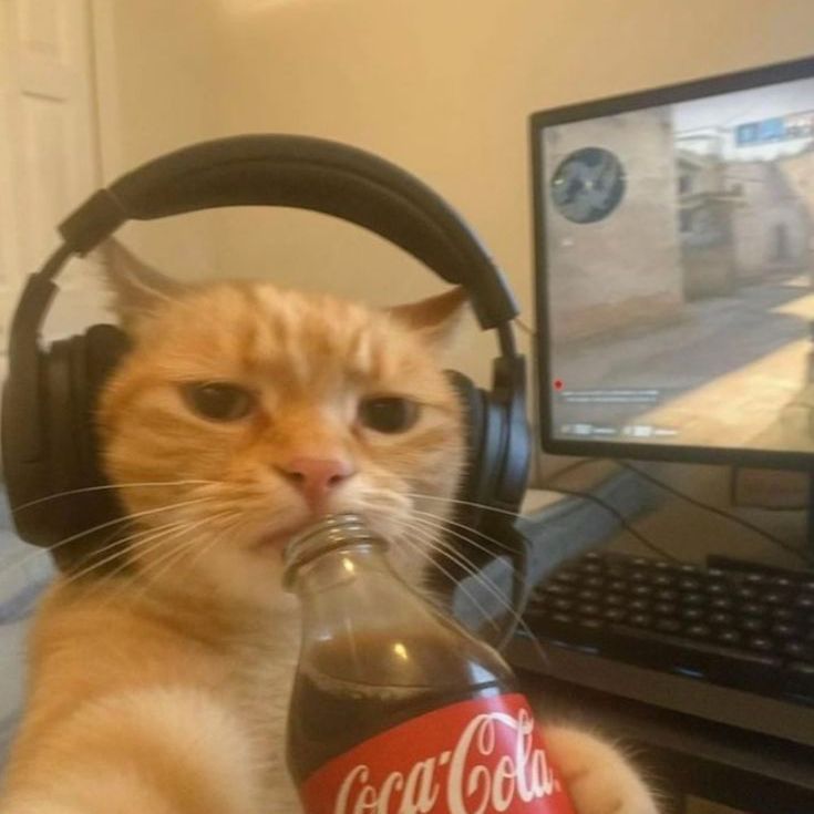 team_hirrrrburger