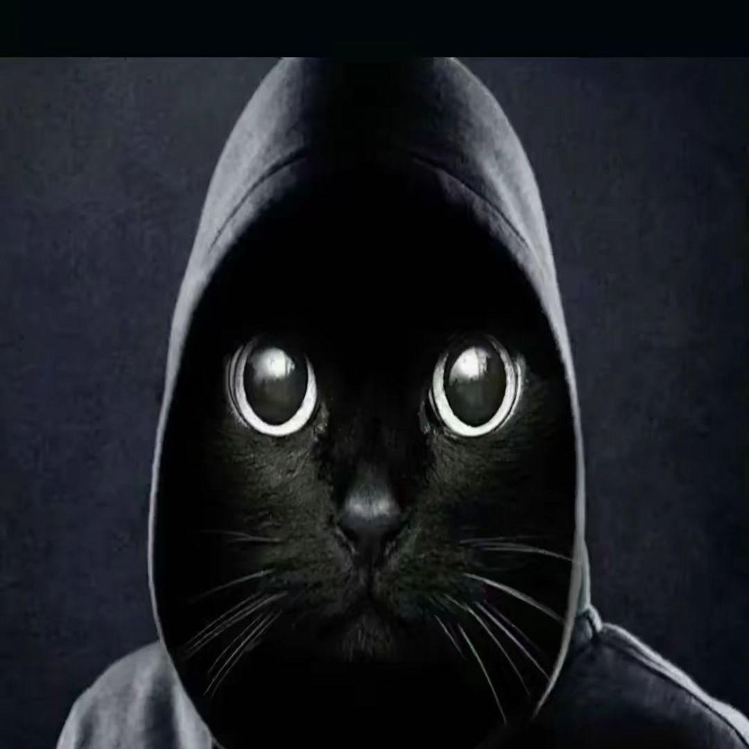 ChellLiks avatar