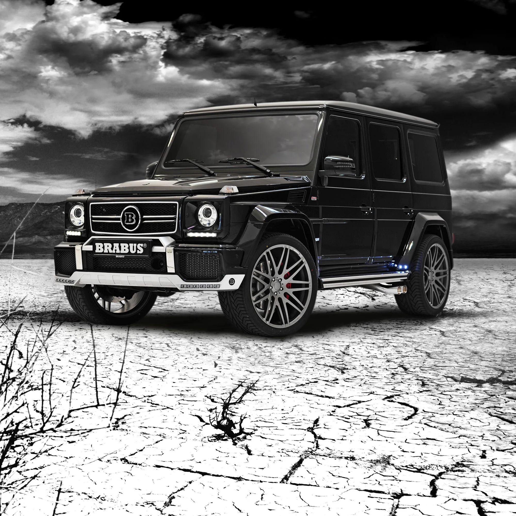 cArn282 avatar