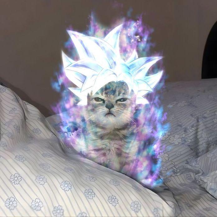 INFINITY6996 avatar