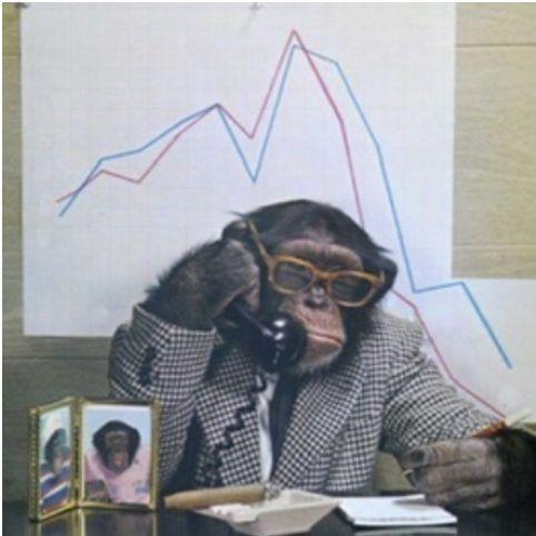 gr0yde avatar