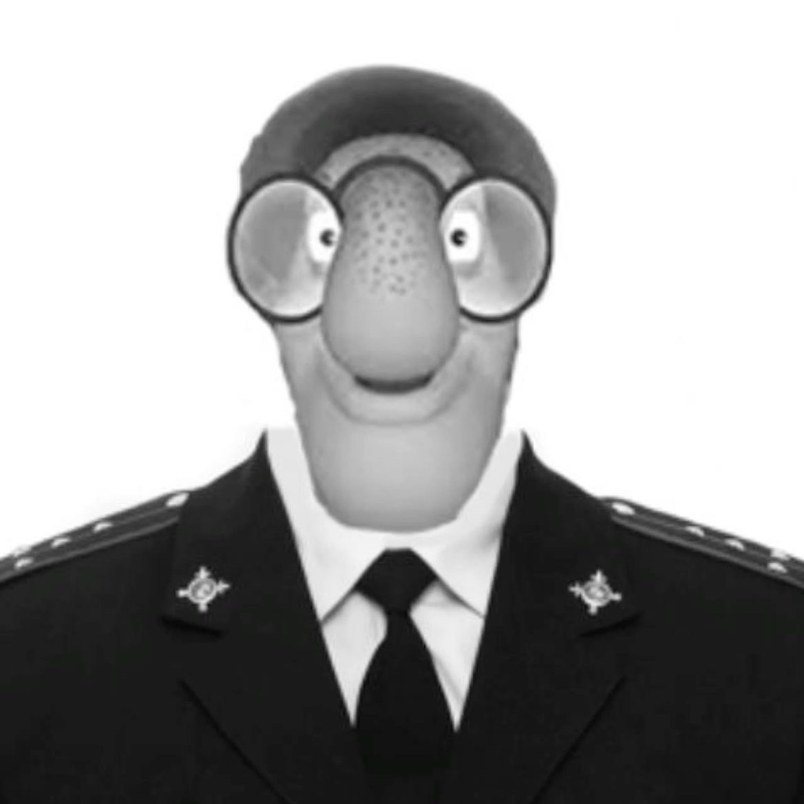 Cooldan9