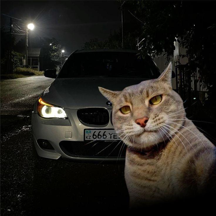 sai9a7ba avatar