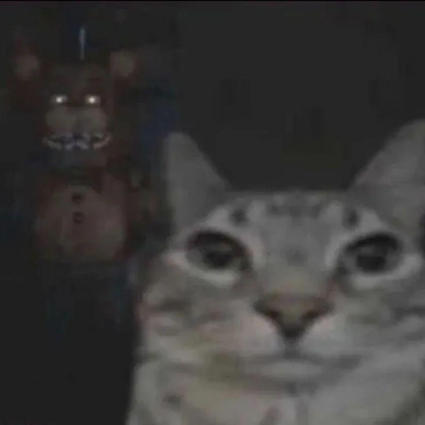 3uma_ avatar
