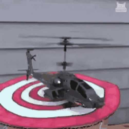 f1c