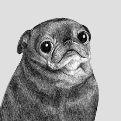 Centyauro FACEIT avatar