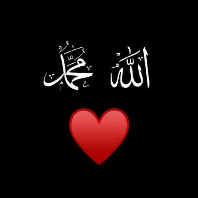 team_Mujahid-X