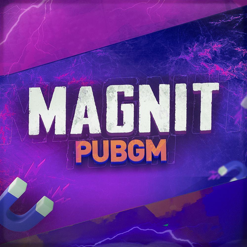 magnit_pubgm avatar