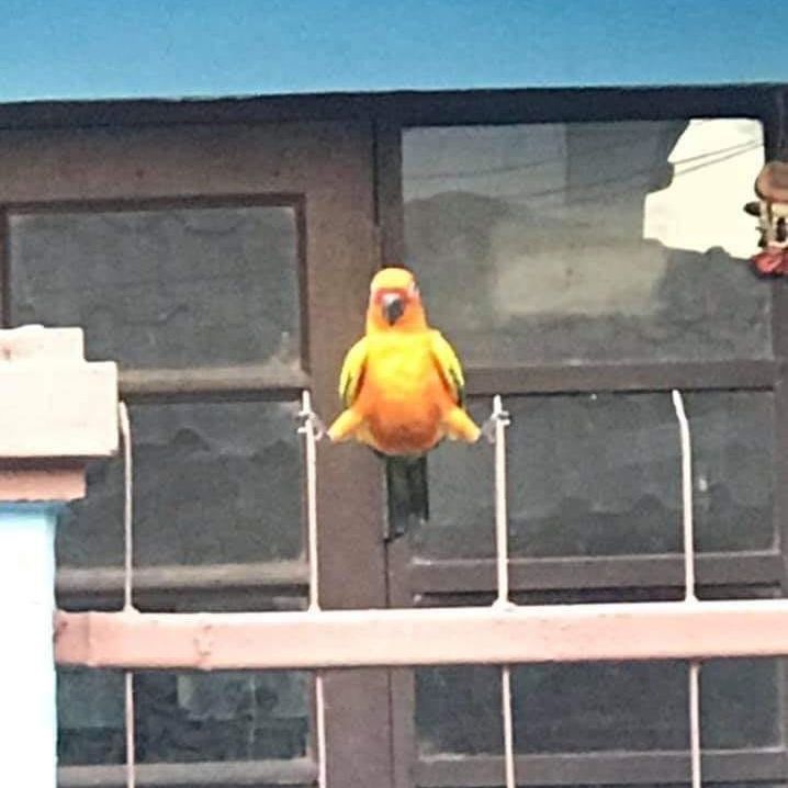 AkZzzzzl