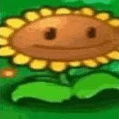 rancho25 avatar
