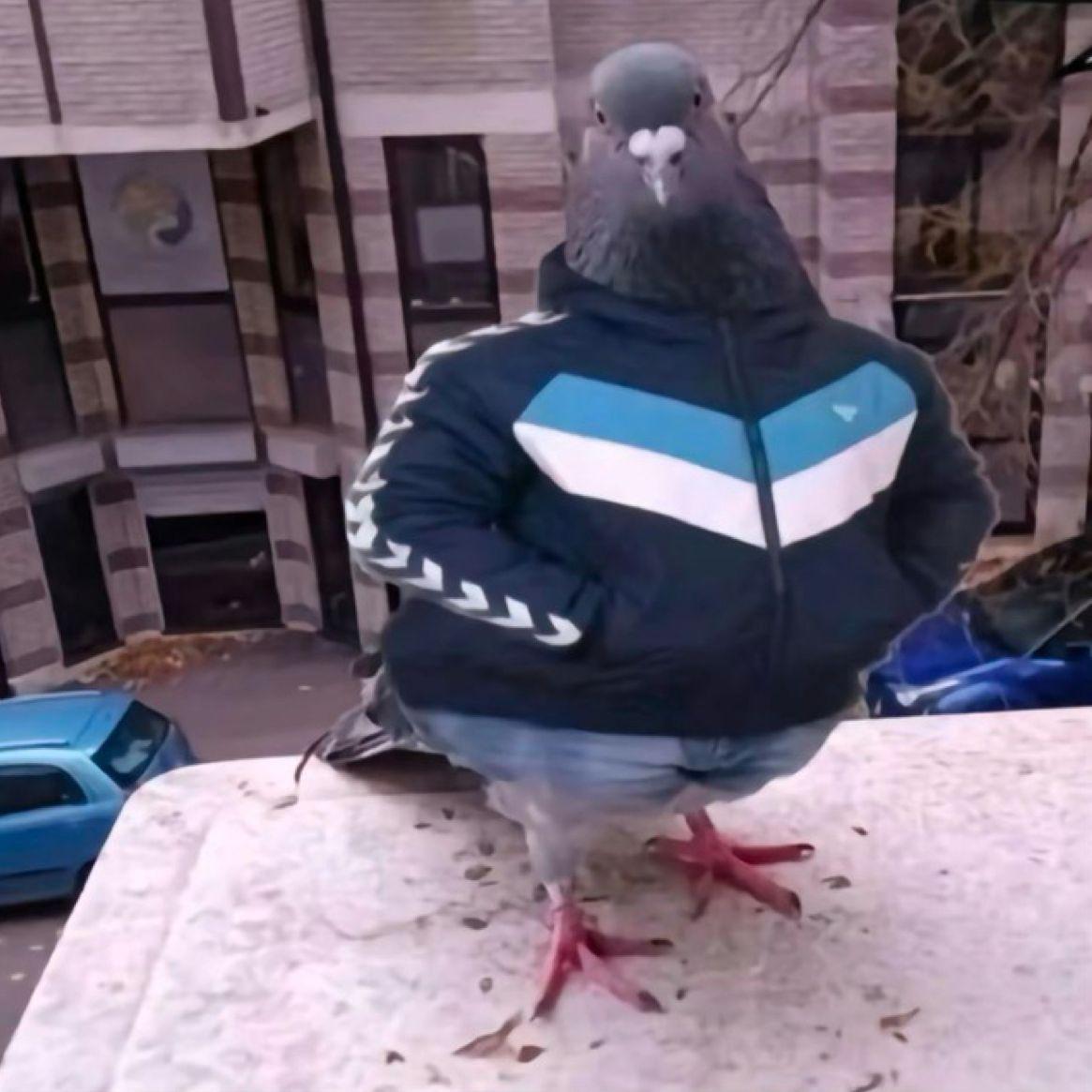 DEN4IK666 avatar