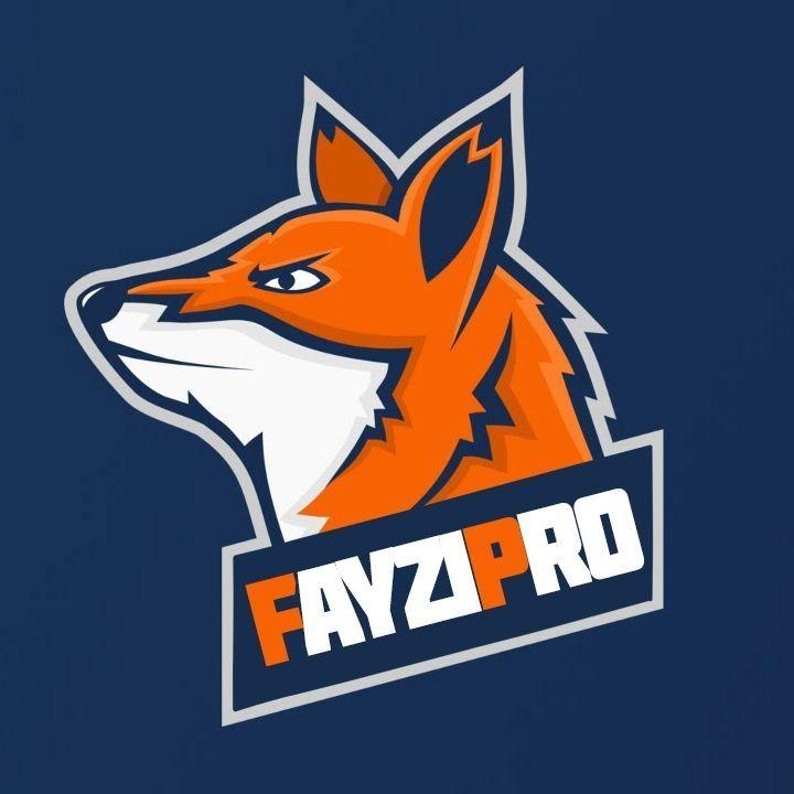 team_Fayz1Pro