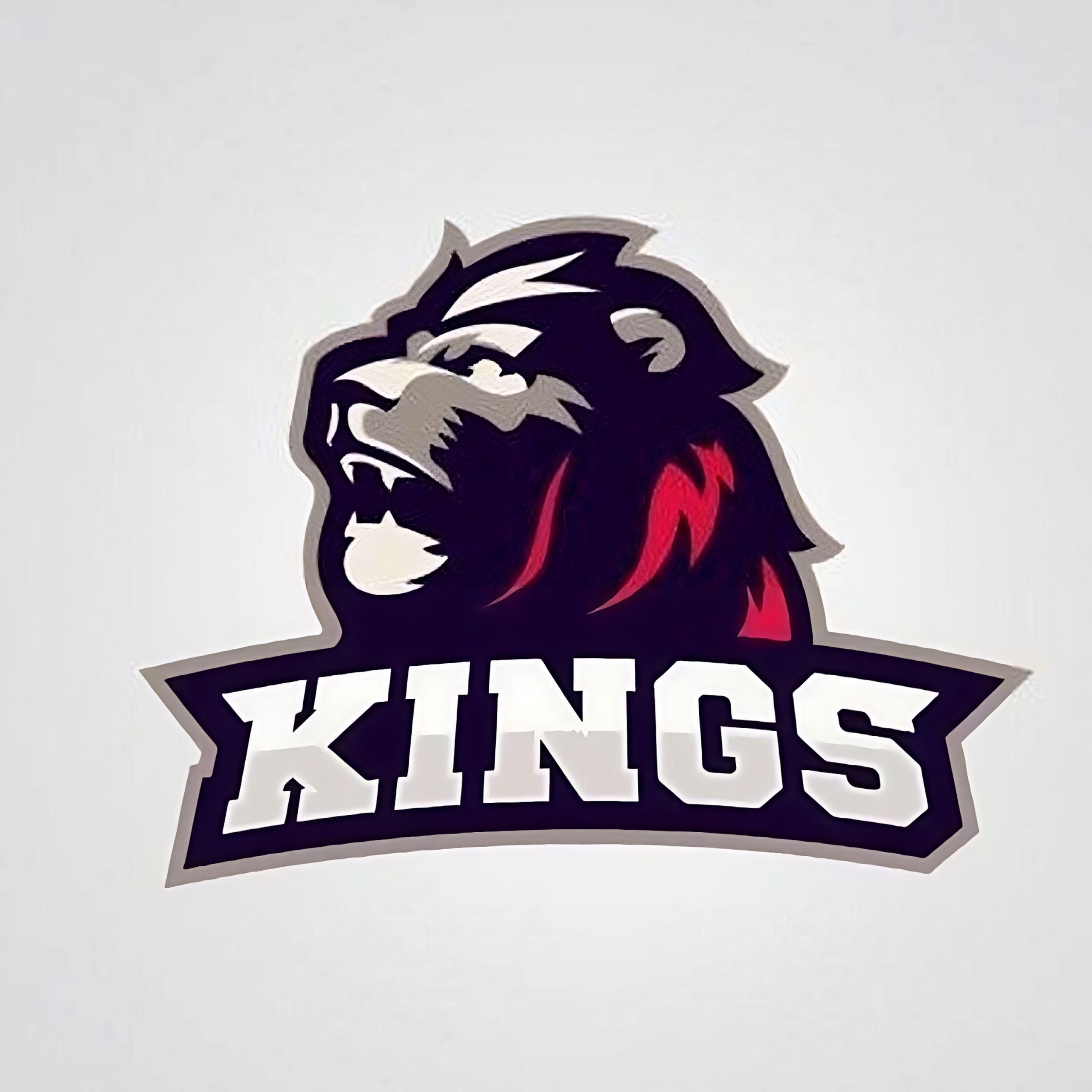 Kings group. King логотип. Логотип Team of Kings. Kings. TEAMKILL.