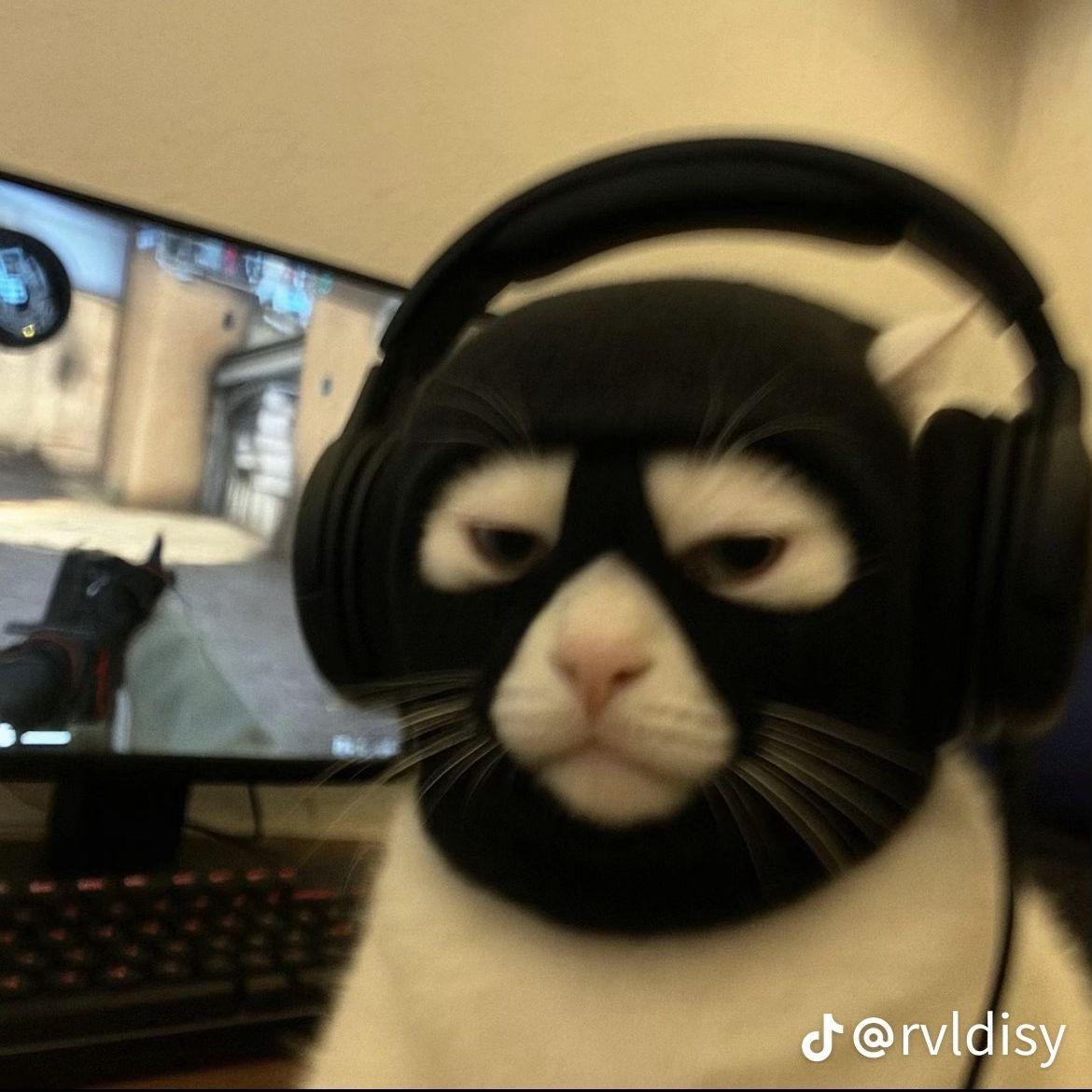 Wouda avatar