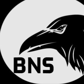 BadNewsSeaguls