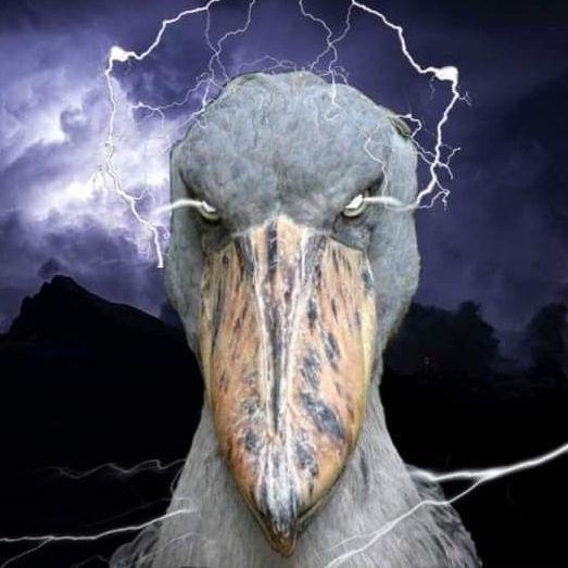 ptk71 avatar