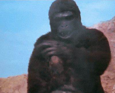 UMUT