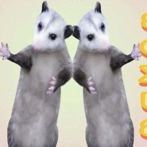 Tohrin1337 avatar