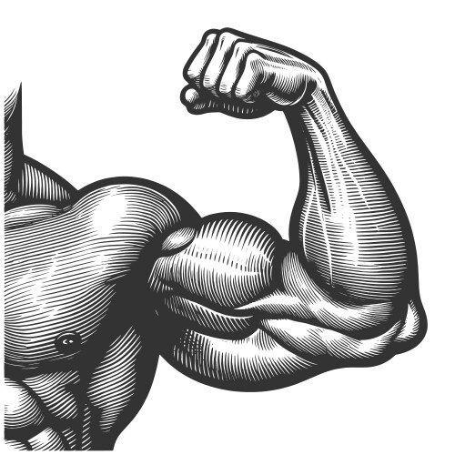 Musclegame avatar