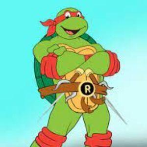 FitRedTurtle avatar