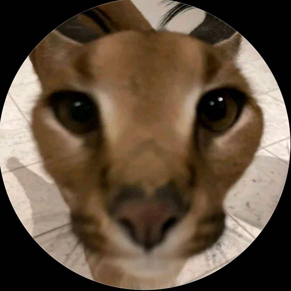 Shezz12 avatar