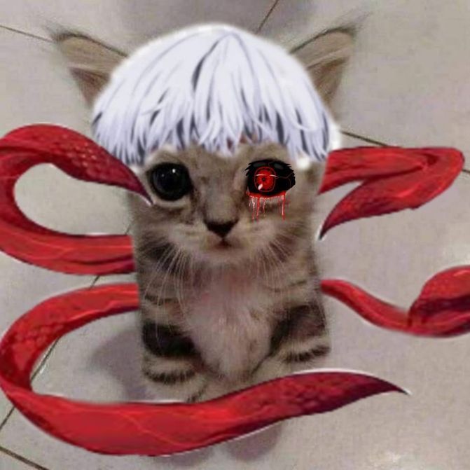 zxcutekid