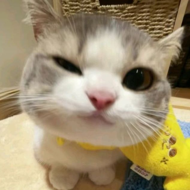ledeyllin