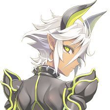 SilverSkil