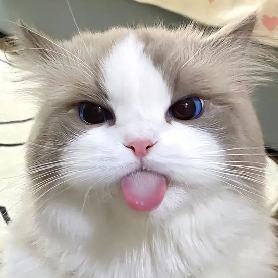 Farambe