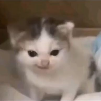 nonhacked avatar