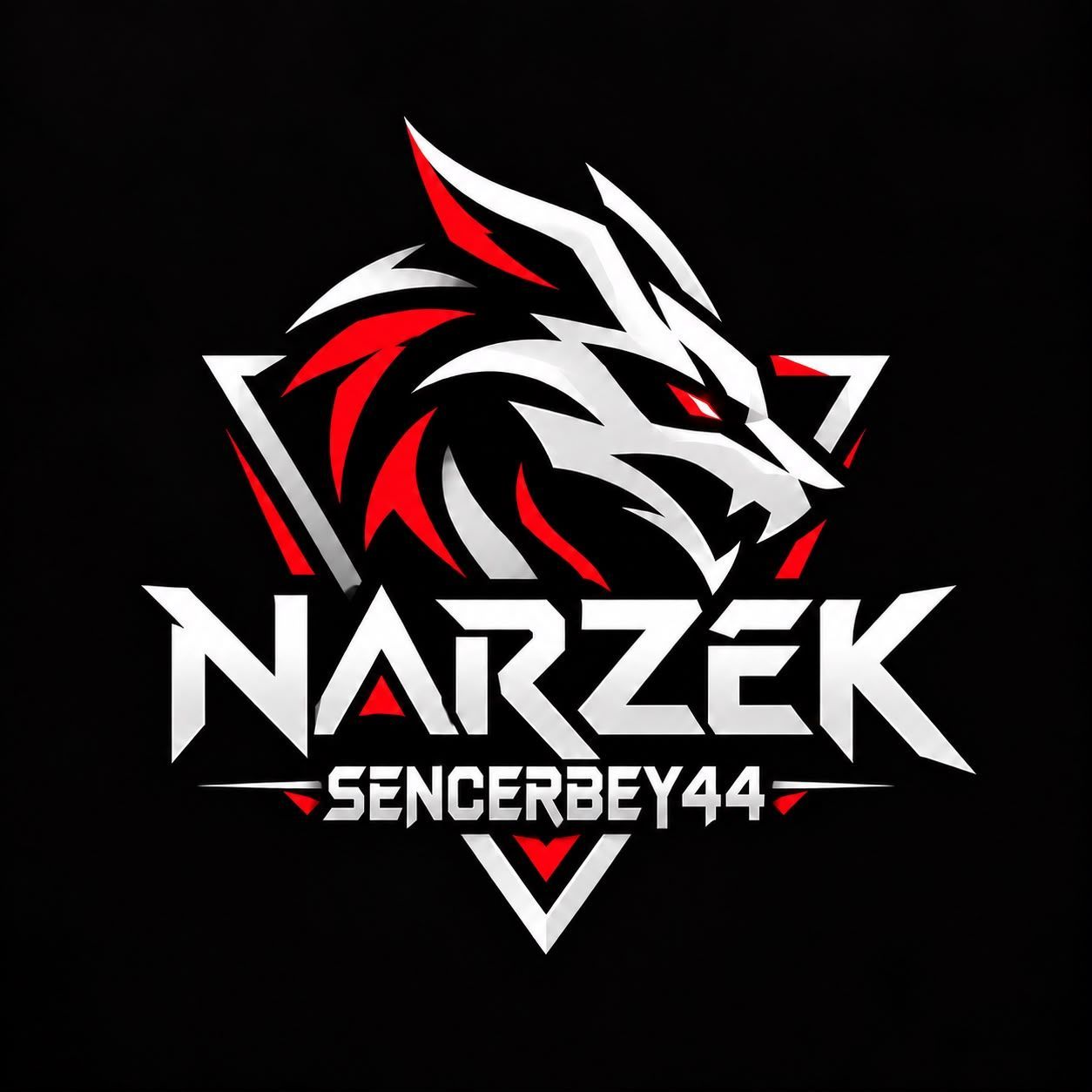 SencerBey44 FACEIT avatar