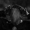 dissguised