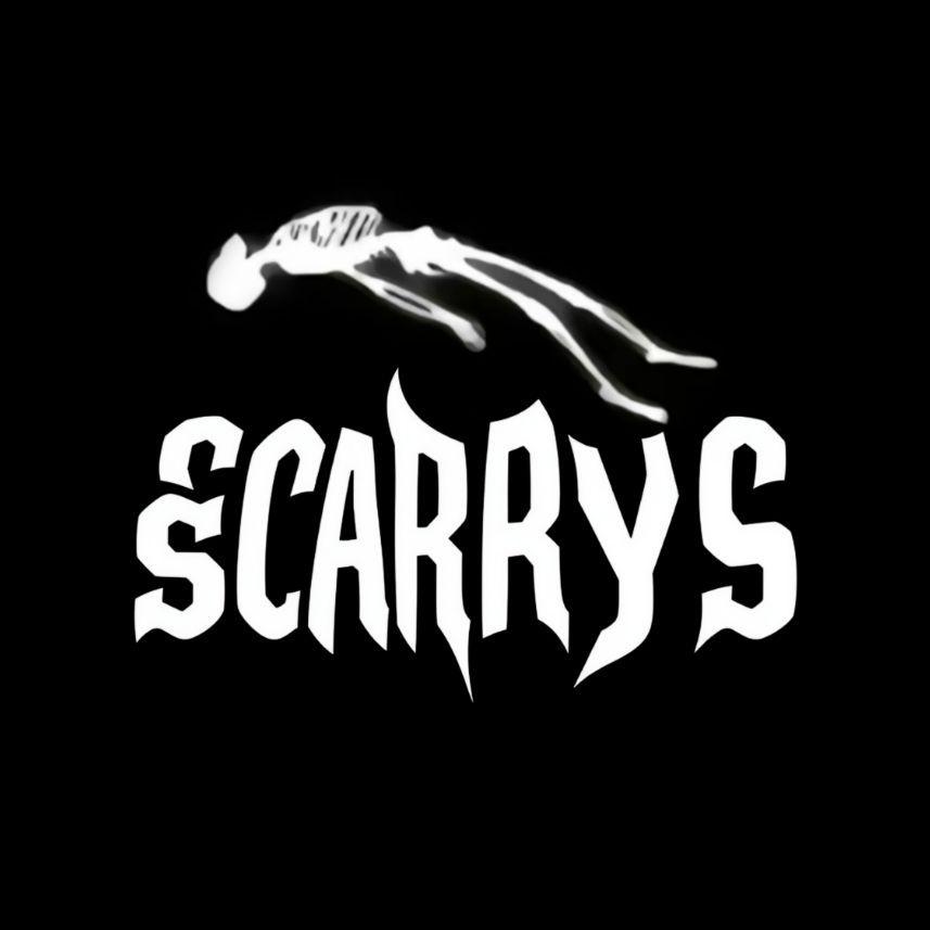 SCARRYS_ avatar