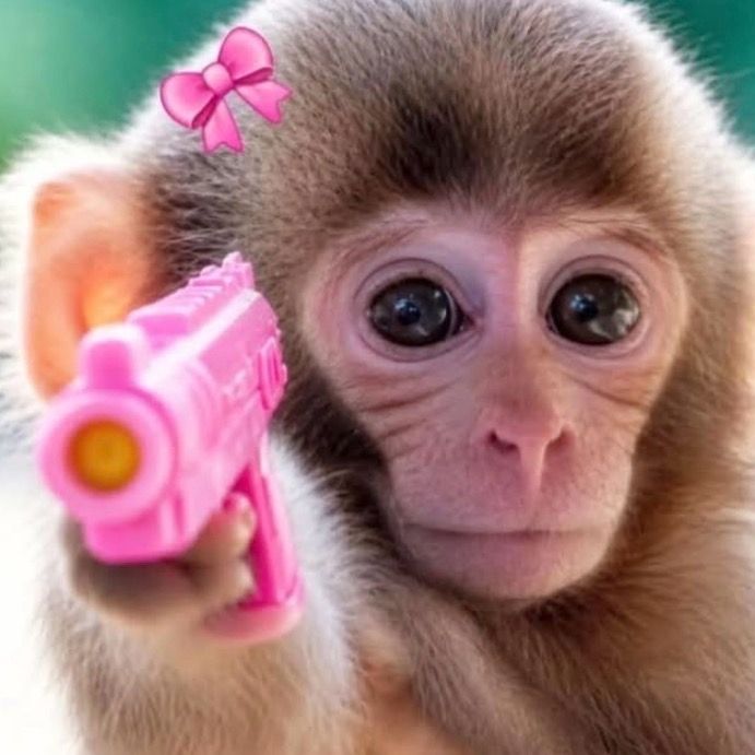 vekosik