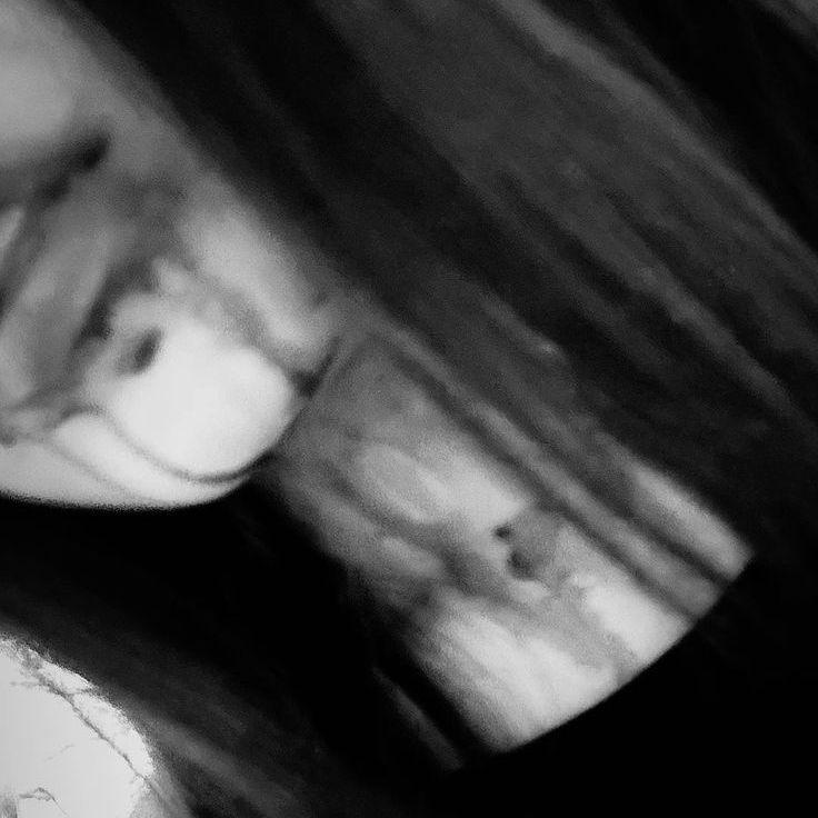 -traihood avatar